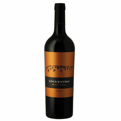 Imagen de RUTINI ENCUENTRO MALBEC 750ML