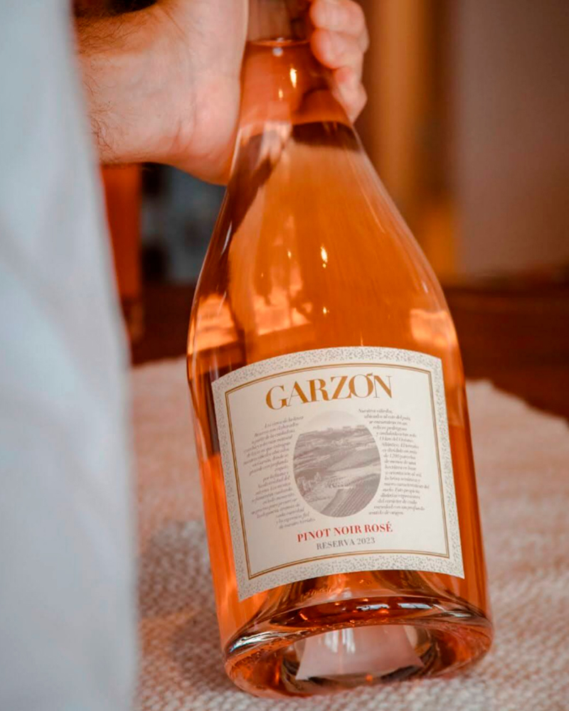 Imagen de Garzón Pinot Pinot Rosé 750ml
